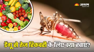 करना चाहते हैं Dengue से जल्दी रिकवर? तो कुछ खास चीजों को जरूर बनाएं डाइट का हिस्सा