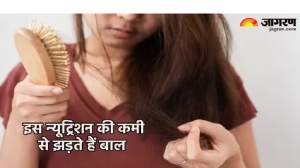 समझें बालों के लिए बायोटिन की अहमियत, जिसकी कमी बन सकती है Hair Fall की वजह