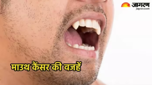 तंबाकू खाने की आदत बन सकती है Mouth Cancer की वजह, हेल्दी डाइट और सही देखभाल से रोक सकते हैं इसका खतरा