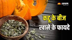 कई समस्याओं का रामबाण इलाज है कद्दू के बीज, वेट लॉस से लेकर कब्ज जैसी कई परेशानियों से मिलती है राहत