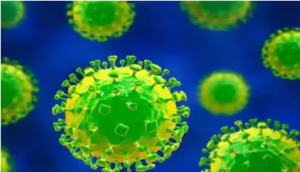 क्या है Oropouche Virus? जिसने ली 2 महिलाओं की जान
