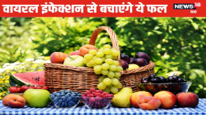 बारिश के मौसम में खूब खाएं ये 5 टेस्टी फल, शरीर में भर जाएगी ताकत, बीमारियों का खतरा होगा कम