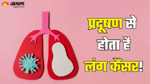 सावधान! सिर्फ स्मोकिंग ही नहीं प्रदूषण भी बढ़ाता Lung Cancer का खतरा, डॉक्टर से जानें रिस्क फैक्टर