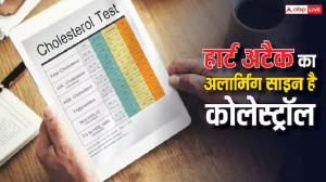 Heart Attack Sign: कोलेस्ट्रॉल बढ़ा तो कभी भी आ सकता है हार्ट अटैक, ऐसे करें कंट्रोल
