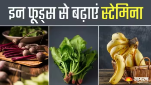 छोटा-मोटा काम करने पर भी होती है थकावट, तो नेचुरली Stamina बढ़ाने के लिए खाएं 8 सुपरफूड्स