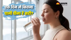 एक दिन में कितना पानी पीना चाहिए? 90% लोग नहीं जानते सही जवाब