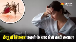 Dengue से रिकवर होने के बाद भी जरूरी है खास देखभाल, डॉक्टर के बताए टिप्स से रखें अपना ख्याल