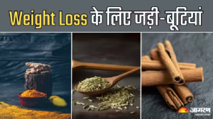 बाहर निकलते Belly Fat के कारण नहीं पहन पा रहे मनपसंद ड्रेस, तो 6 जड़ी-बूटियों की मदद से पाएं परफेक्ट फिगर