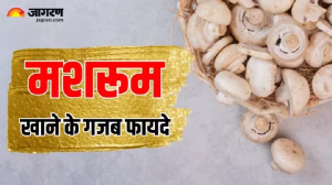 स्वाद ही नहीं, सेहत के लिहाज से भी लाजवाब होता है मशरूम, Immunity बढ़ाने से लेकर वेट लॉस तक में है फायदेमंद
