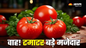 अहा! टमाटर बड़े मजेदार, रोजाना खाने से सेहत को मिलेंगे फायदे अपार