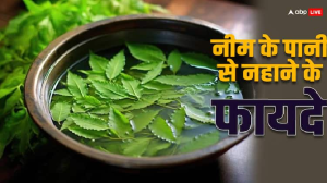 Neem Water Bath: नीम के पत्तों से नहाने के एक नहीं कई है फायदे, ये है सही तरीका