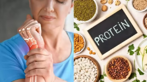 शरीर में Protein की कमी बताते हैं 5 संकेत, उठना-बैठना भी हो जाए बंद; इससे पहले आप हो जाएं सावधान!