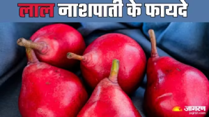 सेहत दुरुस्त बनाएगा लाल नाशपाती, दिल का ख्याल रखने के साथ ही प्रेंग्नेसी में भी होगा लाभकारी