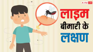 Lyme Disease: मौत की वजह बन सकते हैं लाल चकत्ते और खुजली, जानें क्या बीमारी है लाइम डिजीज?