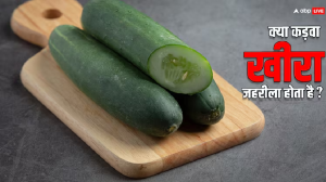 Health Risks : कड़वा खीरा खाने से हो सकती है मौत, जानें क्या है इसकी वजह?