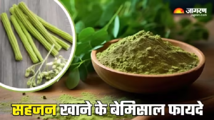 Moringa Benefits: शुगर बढ़ने से लेकर खराब पाचन तक, सहजन खाने से कई समस्याएं रहेंगी कोसों दूर