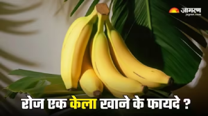 रोज एक केला खाने के फायदे जानकर आप भी हो जाएंगे हैरान, पाचन से लेकर दिल तक का रखता है ख्याल