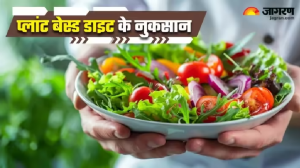 हेल्दी है, लेकिन सेहत की गारंटी नहीं! Plant Based Diet लेने वाले जरा हो जाएं सावधान!