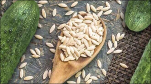 खाने के बाद 1 चम्मच खीरा के बीज चबाने से दूर होगी ये जानलेवा परेशानी, इन बीमारियों में मिलेगा फायदा