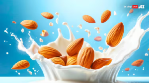Almond Milk: बादाम का दूध पीना सेहत के लिए कितना फायदेमंद? जानें क्या कहते हैं एक्सपर्ट
