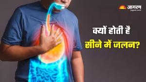 अक्सर रहते हैं सीने में जलन और पेट दर्द से परेशान, तो Acid Reflux से बचने के लिए रखें इन बातों का ख्याल