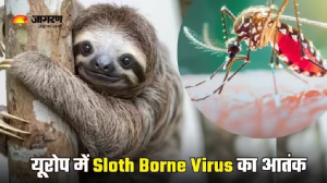 Sloth Borne Virus से यूरोप में मचा कहर, आप भी जान लें इसके लक्षण और कैसे करें इससे बचाव