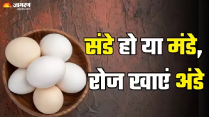 इम्युनिटी बूस्ट करने के साथ ही आंखों को हेल्दी बनाएंगे अंडे, मानसून में इसे खाने के हैं और भी कई फायदे