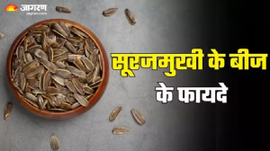 गुणों का भंडार हैं Sunflower Seeds, एक बार डाइट में कर लिया शामिल तो कभी नहीं होगा अफसोस