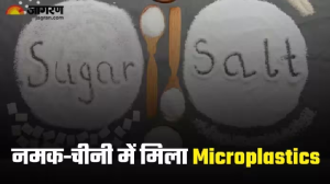 आपके खाने में डलने वाले नमक और चीनी में मौजूद हैं हानिकारक Microplastics, हालिया स्टडी में सामने आया डराने वाला सच