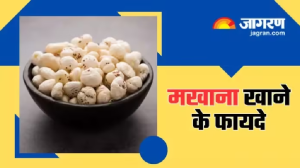 वजन कम करने से लेकर दिल को बीमारियों से बचाने तक, रोज मखाना खाने के हैं और भी कई लाजवाब फायदे
