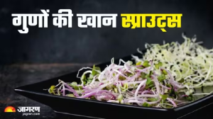 मल्टीविटामिन का बढ़िया सोर्स है Sprouts, रोजाना खाने से रहेंगे हेल्दी और बनेंगे तंदुरुस्त