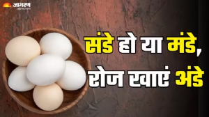 इम्युनिटी बूस्ट करने के साथ ही आंखों को हेल्दी बनाएंगे अंडे, मानसून में इसे खाने के हैं और भी कई फायदे