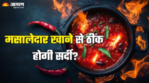 क्या सर्दी-जुकाम का इलाज कर सकता है मसालेदार खाना? डॉक्टर ने बताई पूरी सच्चाई