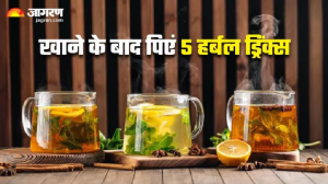 डिनर के बाद पिएं 5 हर्बल ड्रिंक्स, मक्खन की तरह पिघलेगी चर्बी और शरीर की गंदगी भी होगी बाहर