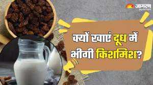 सुबह-सवेरे खाएंगे दूध में भीगी किशमिश, तो सेहत और त्वचा से जुड़ी कई परेशानियां हो जाएंगी Finish!