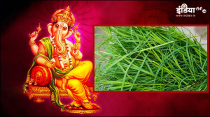 भगवान गणेश को पसंद दूब घास, आपके पेट की गर्मी को भी कर देगी शांत, इन बीमारियों में है फायदेमंद