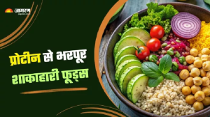 Protein Rich Foods: प्रोटीन की कमी भी गिरा सकती है शरीर का ढांचा! बचने के लिए खाएं ये शाकाहारी फूड्स