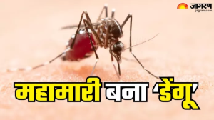 कर्नाटक में महामारी घोषित हुआ ‘Dengue’, डॉक्टर ने बताया कैसे जानलेवा साबित हो सकती है ये बीमारी