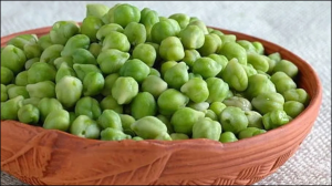 सुबह नाश्ते में उबालकर खा लें हरा चना छोलिया, शरीर में भर जाएगी ताकत, सॉलिड हो जाएगी बॉडी