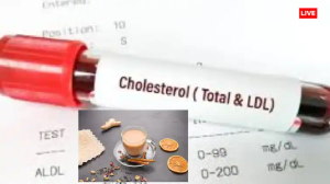 Chai And Cholesterol: क्या चाय पीने से भी बढ़ सकता है आपका कोलेस्ट्रॉल? जानें क्या हो सकते हैं खतरे
