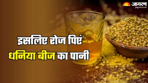 पाचन दुरुस्त और वजन कंट्रोल करने में मददगार है धनिया के बीज का पानी, ऐसे करें तैयार