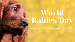 World Rabies Day 2024: कुत्तों के काटने से ही नहीं इन जानवरों की वजह से भी फैलता है Rabies, जानें लक्षण और बचाव के उपाय
