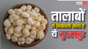 तालाबों से निकाला जाता है ये सुपरफूड, खाने से शरीर को मिलती है इतनी ताकत
