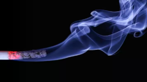 Passive Smoking: दोस्त के 'फू-फू' से आपकी जान जा सकती है, 80 लाख लोग हर साल मर रहे हैं
