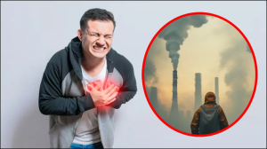 काला धुआं फेफड़े और दिल का बना दुश्मन, बढ़ रहा है हार्ट अटैक का खतरा, डॉक्टर से जानिए कैसे बचाव करें