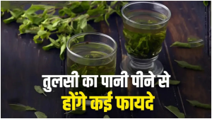 रोज सुबह-सुबह तुलसी का पानी पीकर करें दिन की शुरुआत, सेहत को मिलेंगे ये जबरदस्त फायदे