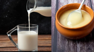 क्या दूध-घी खाना शरीर के लिए हानिकारक है? डॉक्टर से जानिए कब और कितनी मात्रा में करें सेवन