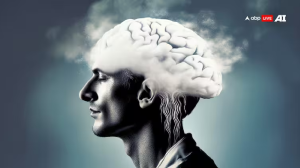सिर्फ हवा में ही नहीं, दिमाग में भी जमता है 'फॉग', जानें किस वजह से होता है ऐसा?