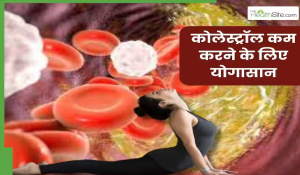 कोलेस्ट्रॉल कम करने के लिए रोज सुबह खाली पेट करें ये 3 योगासन, नसों में जमा बैड कोलेस्ट्रॉल पिघलकर निकल जाएगा बाहर