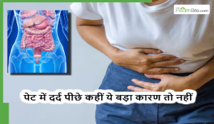 लंबे समय से पेट दर्द है तो ना करें इग्नोर, हो सकता है इन 4 अंगों के डैमेज होने का संकेत